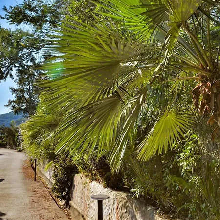 Mare A Capoliveri Due Апартаменты Каполивери
