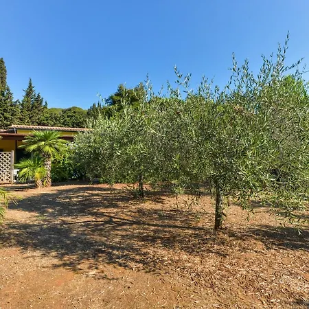 Apartment Mare A Capoliveri Due *